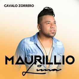 Album cover of Cavalo Zorrero