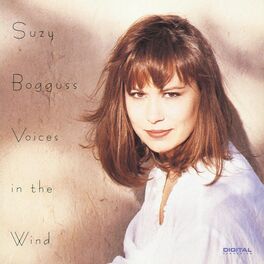 Album cover of Voices In The Wind