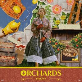 Album cover of Orchards