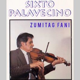 Album cover of Zumitag Fani