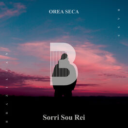 Album cover of Sorri Sou Rei
