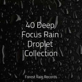 Album cover of 40 Deep Focus Rain Droplet Collection