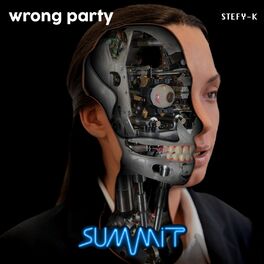 Album cover of Wrong Party (Remix)