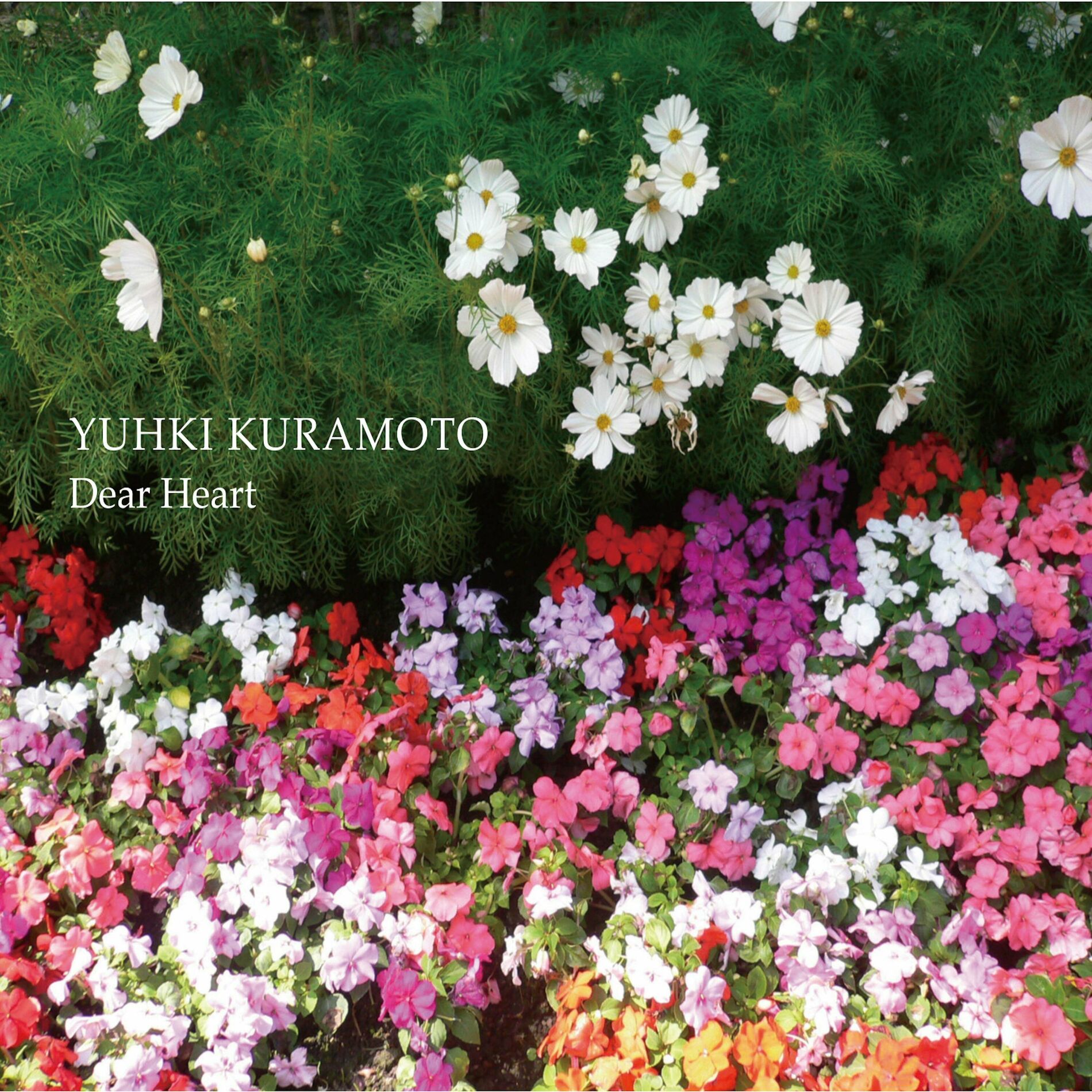 Yuhki Kuramoto: albums, songs, playlists | Listen on Deezer