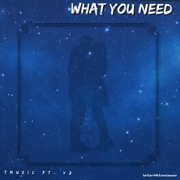 Album cover of What You Need (feat. V2)
