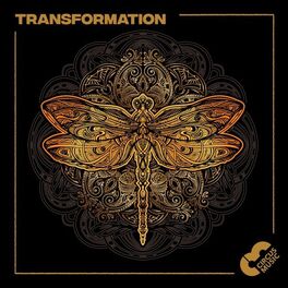 Album cover of Transformation