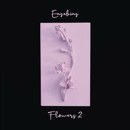 Album cover of Flowers 2
