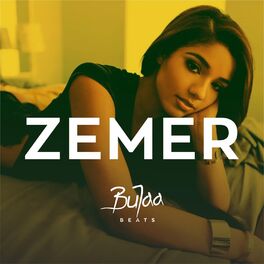 Album cover of Zemer (Instrumental)