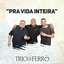Album cover of Pra Vida Inteira (Ao Vivo)