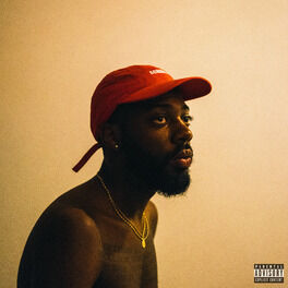Album picture of Sonder Son
