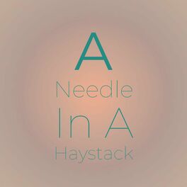 Album cover of A Needle In A Haystack