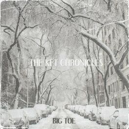 Album cover of THE KET CHRONICLES