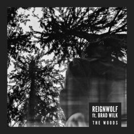 Album cover of The Woods