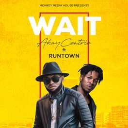 Album cover of Wait (feat. Runtown)