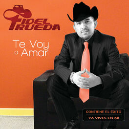 Album cover of Te Voy A Amar