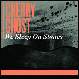 Album cover of We Sleep On Stones