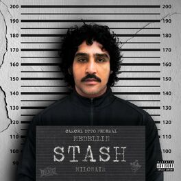 Album cover of STASH