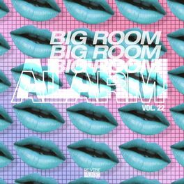 Album cover of Big Room Alarm, Vol. 22