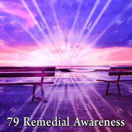 Album cover of 79 Remedial Awareness