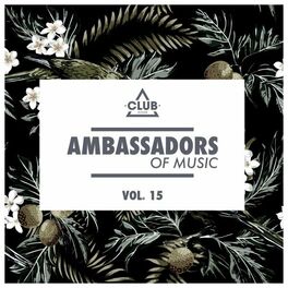 Album cover of Ambassadors of Music, Vol. 15