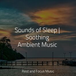 Album cover of Sounds of Sleep | Soothing Ambient Music