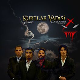 Album cover of Kurtlar Vadisi Complicated nocontextkv