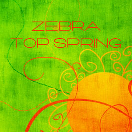 Album cover of Zebra Top Spring