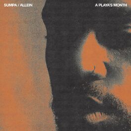 Album cover of Allein