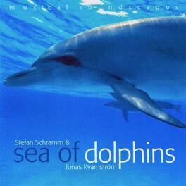 Album cover of Sea of Dolphins (Musical Soundscapes)