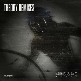 Album cover of Theory Remixes