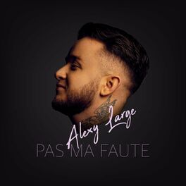Album cover of Pas ma faute