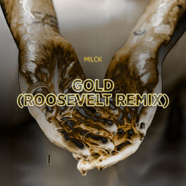 Album cover of Gold (Roosevelt Remix)