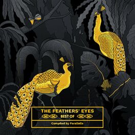Album cover of The Feathers' Eyes Best Of