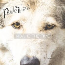 Album cover of Now Is the Time