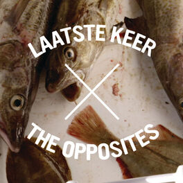 Album cover of Laatste Keer (Mike Mago Remix)