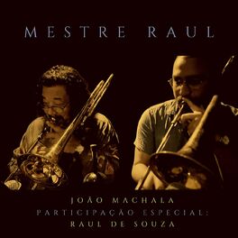 Album cover of Mestre Raul