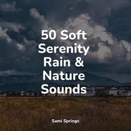 Album cover of 50 Soft Serenity Rain & Nature Sounds
