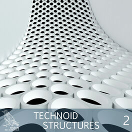 Album cover of Technoid Structures, Vol. 2