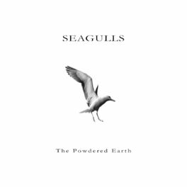 Album cover of Seagulls