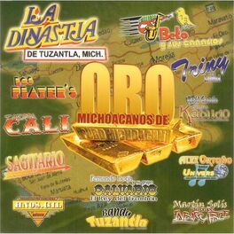 Album cover of Michoacanos de Oro 