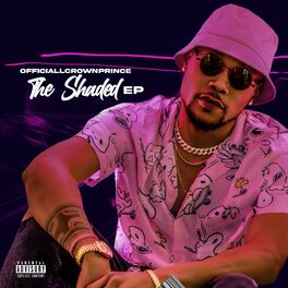 Album cover of The shaded
