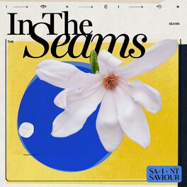 Album cover of In the Seams