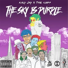 Album cover of The Sky Is Purple