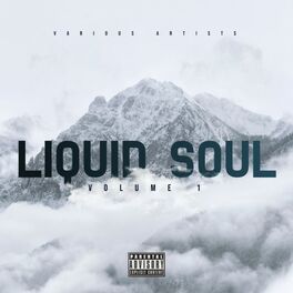 Album cover of Liquid Soul