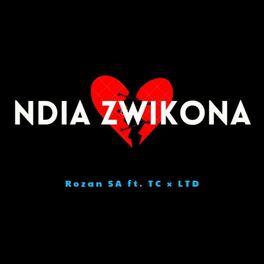 Album cover of Ndia Zwikona