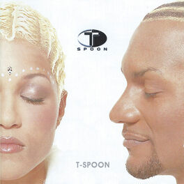 Album cover of T-Spoon