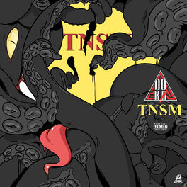 Album cover of TNSM
