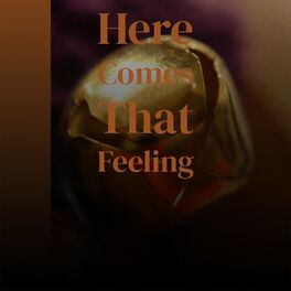 Album cover of Here Comes That Feeling