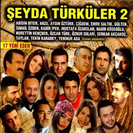 Album cover of Şeyda Türküler, Vol. 2