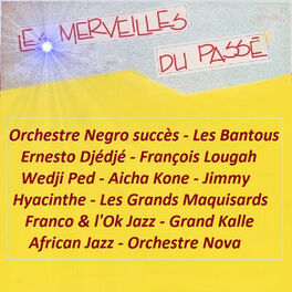 Album cover of Les merveilles du passé